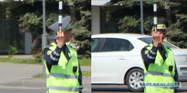 Веселые картинки, в которых происходит насилие над здравым смыслом