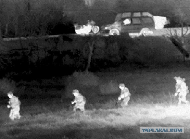 Пойди найди: снайпера ВДВ показали чудеса маскировки в лесах Псковской области