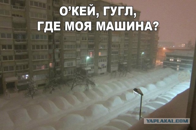 Забавные картинки из Сети.