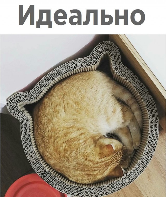 Картинки на воскресенье для поднятия настроения