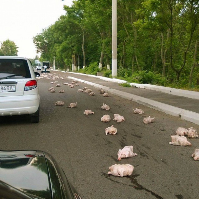 25 человек, которые потерпели полное фиаско на рабочем месте