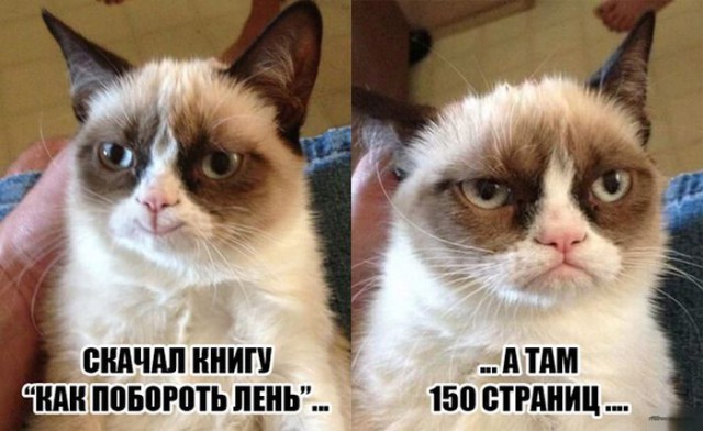 Нестандартный юмор