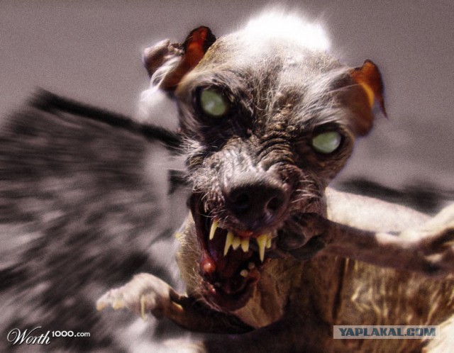 Просто аналитега