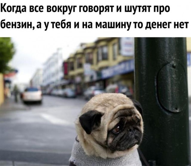 Картинки по-приколу