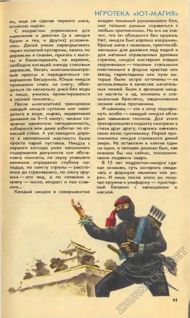 9 неуловимых фактов о ниндзя