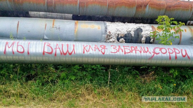 Прикольные надписи и объявления