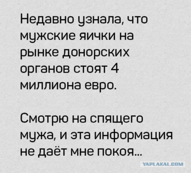 Немного картинок в этот четверг