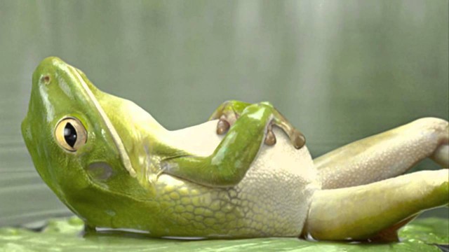 Эталонный пост ЯПа, обреченный на платину