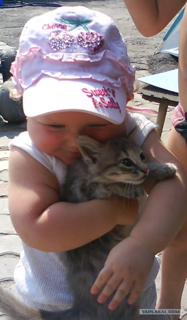 Котовторник 27.03.2012