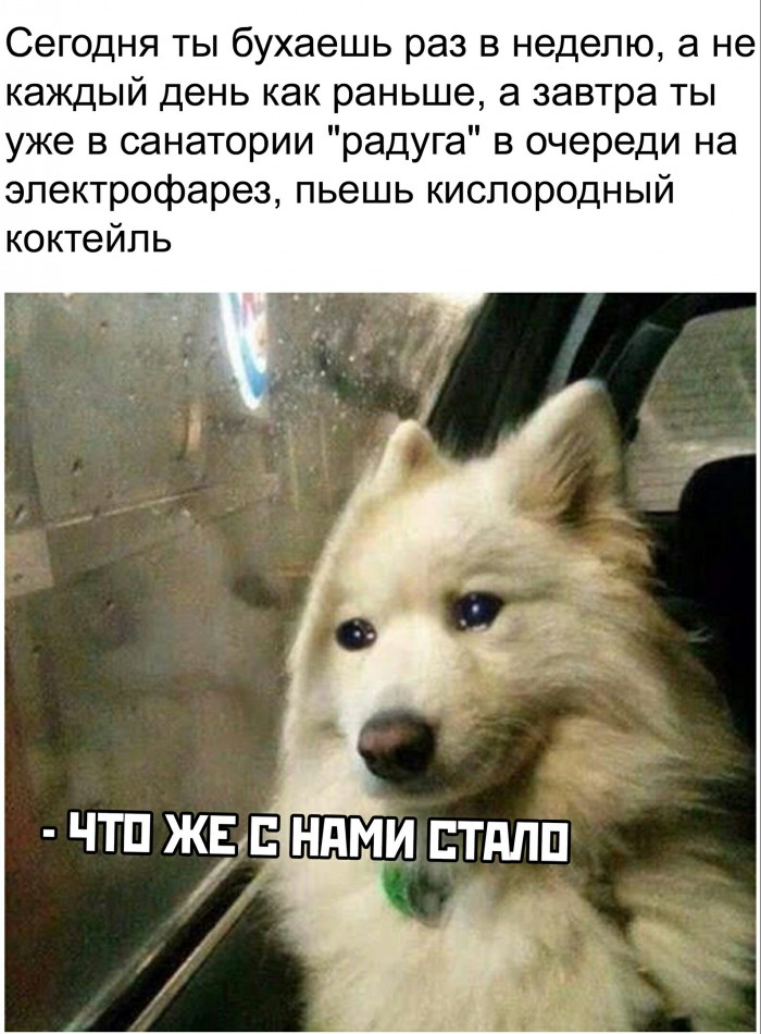 Бредзона
