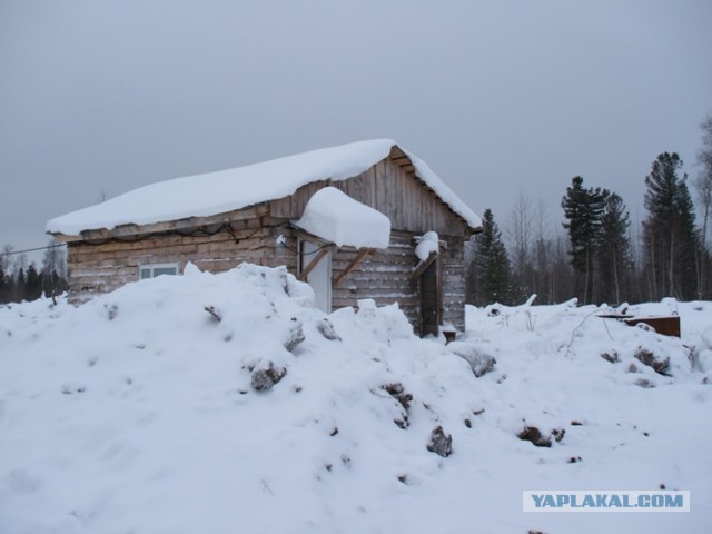 Что скажете?