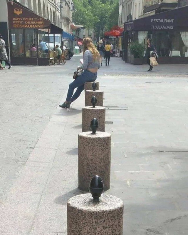 Бредзона из картинок