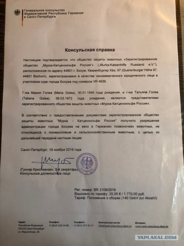 Помогите вернуть кота! Приют "Преданное сердце" украл кота и не отдает!-2