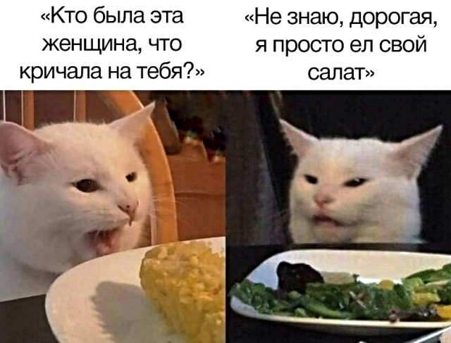 Картинки с надписями, истории и анекдоты 21.11.19