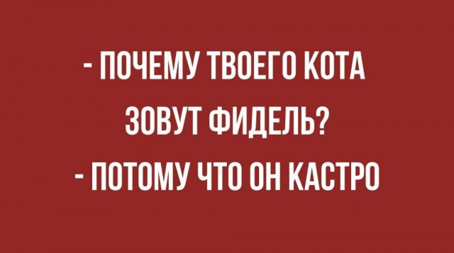 Подборка из этих интернетов