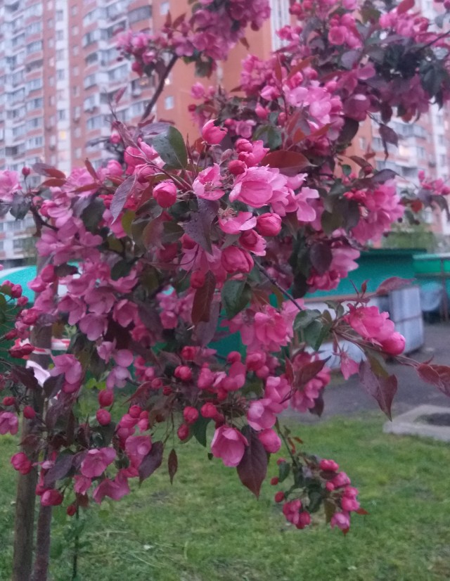 Давайте делиться фотками прошедшего дня