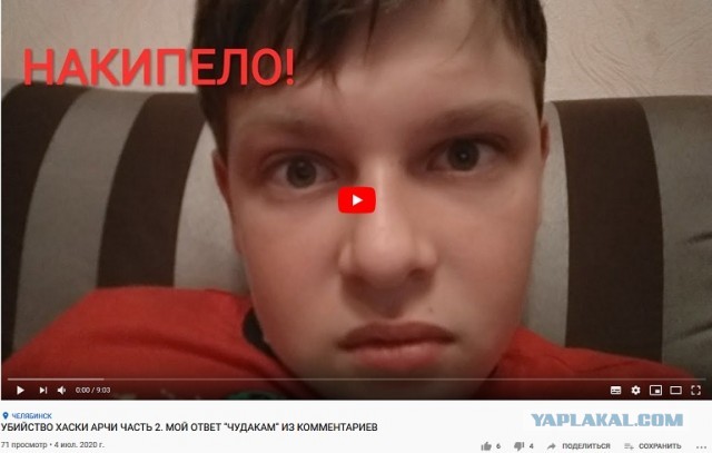 «За пять минут 50 гусей перегрызла»: челябинский охотник, застреливший хаски, рассказал свою версию