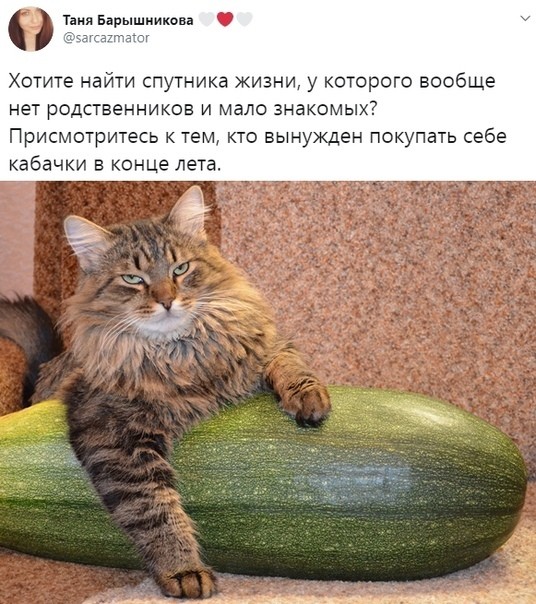 Про кабачки
