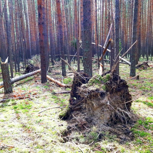 Окунево на выходные