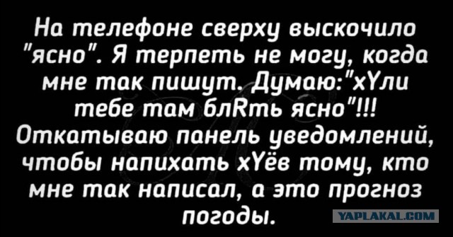 Картинки с надписями фразы и анекдоты
