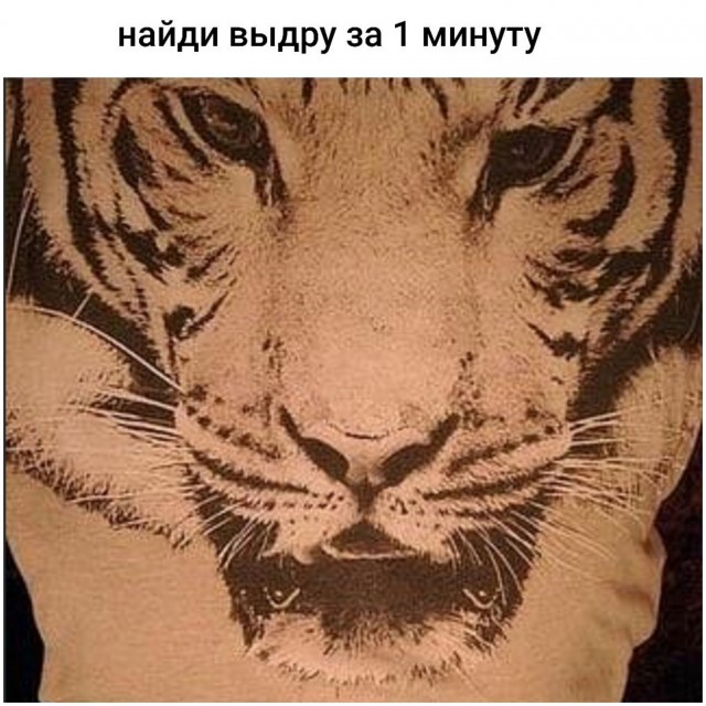 Бредзона 15.12.20