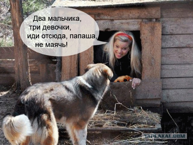 Фотожаба: Собака с Девушкой