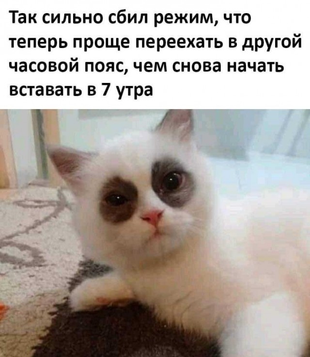 Картинки 09.01.21
