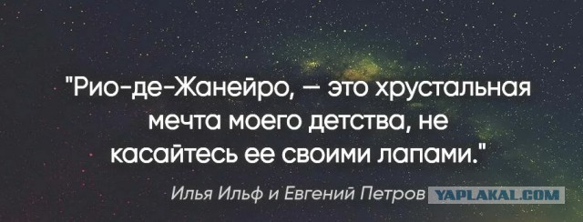 Карнавальных птичек пост