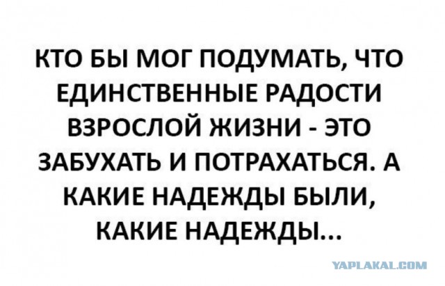 Весёлый полтишок 4.03