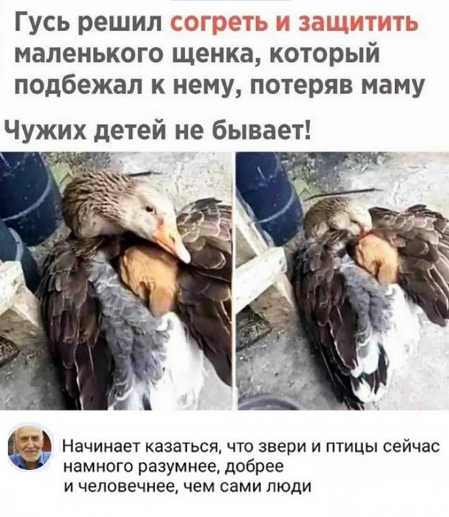 Картинки с надписями и всякие жизненные фразы