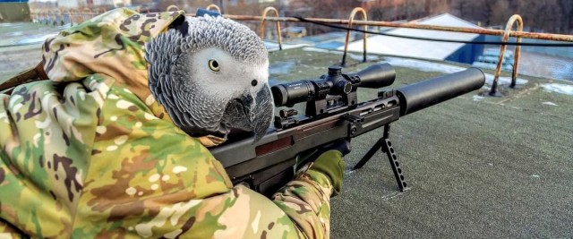 ПозитиФ Чик