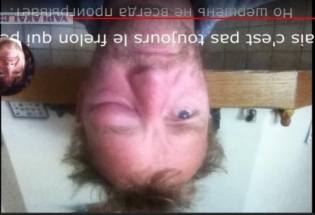 Гнездо азиатского шершня