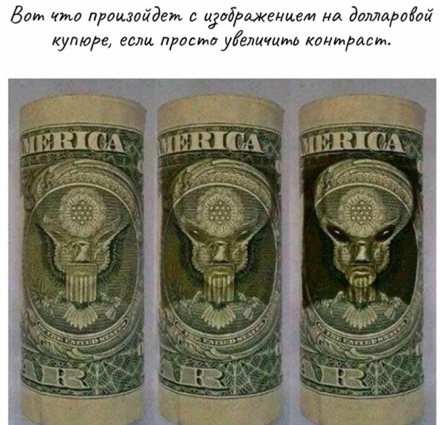 А козёл-то в Воронеже разжирееел!
