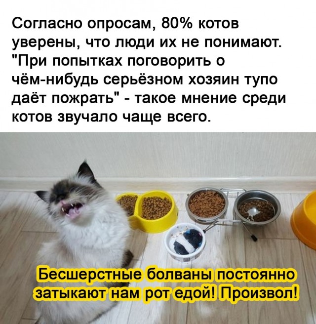 Так себе картинки 12.10.21