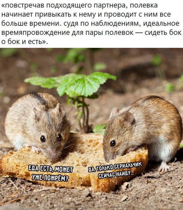 Картинки и мемы для настроения 03.11.2021