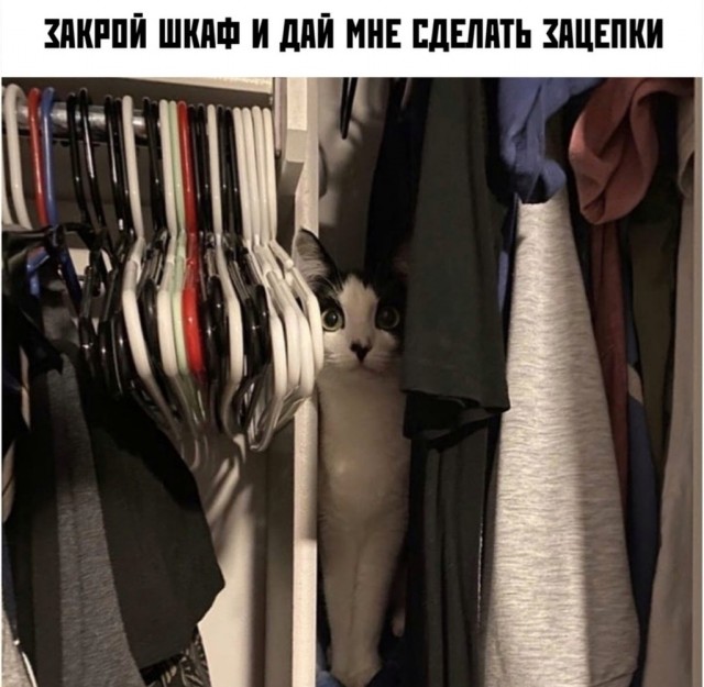 Юмор и прикольные картинки 11.11.2021