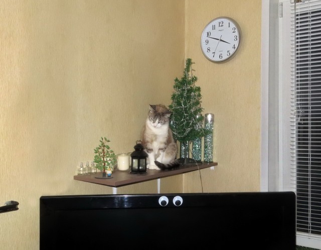 Смешной и красивый вандализм