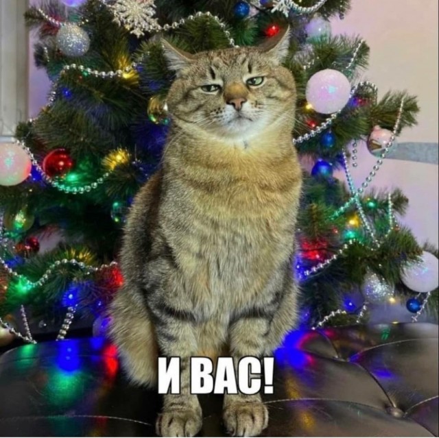 Картинки с надписями и всякие жизненные фразы