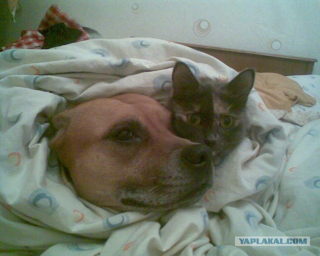 Кто-то все же накачался к лету