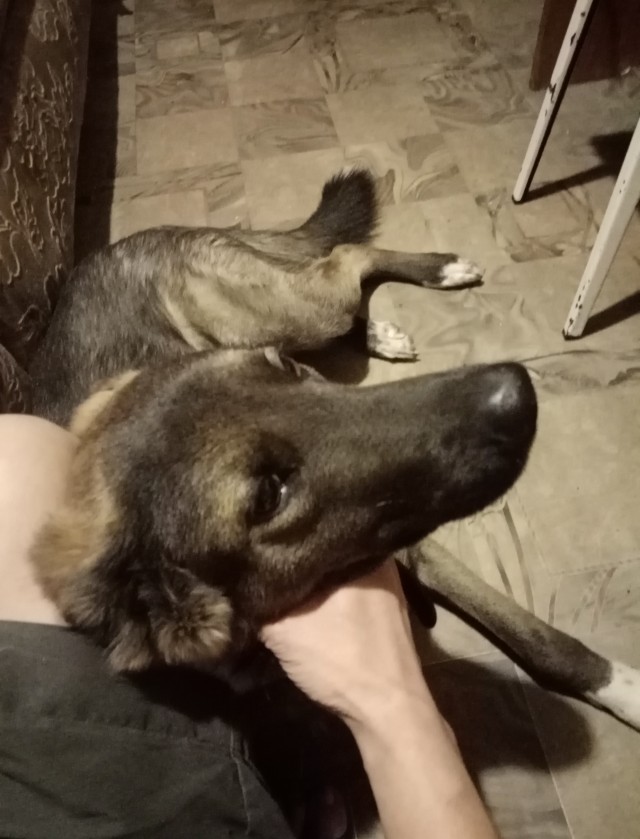 Немного доброты