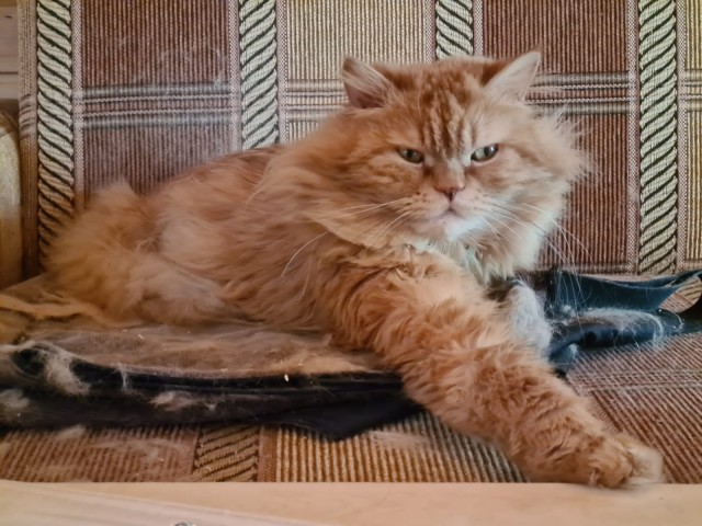 Кот д’Ивуар