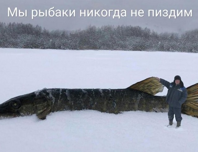 40 кг рыбацкого счастья выглядят примерно так