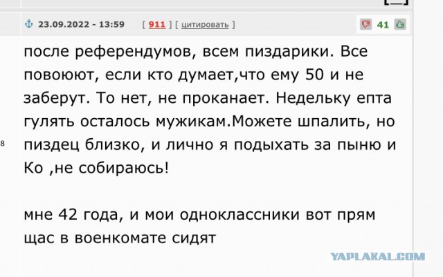 Все больше политиков ФРГ - за убежище для уклонистов из РФ