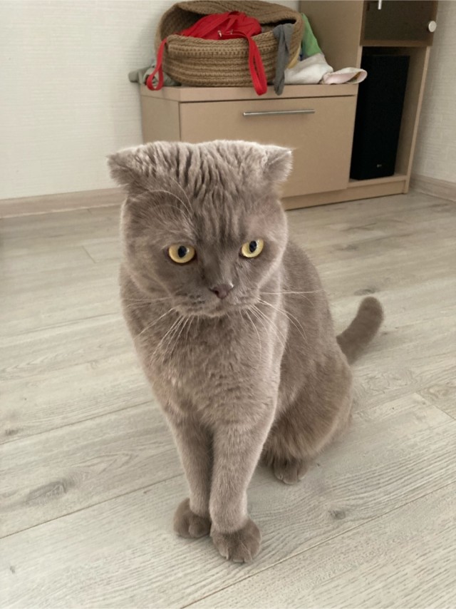 Засосало