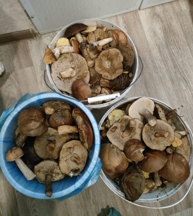 Кулинарная общалка