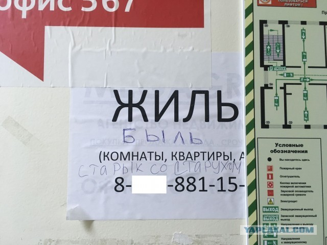 Картинки и мемы для настроения - 123