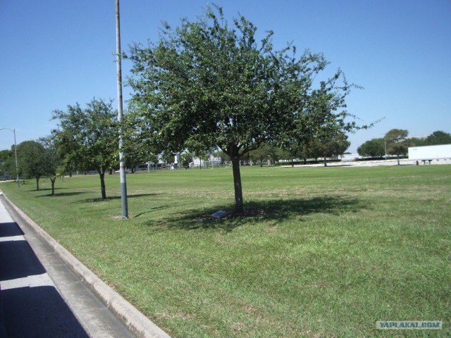 Фотоотчет по штату Техас + музей NASA