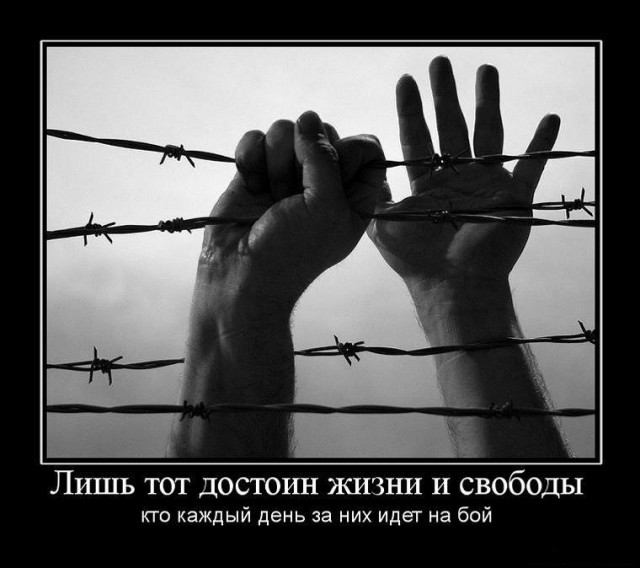 Совфед одобрил закон о запрете митингов у зданий органов власти и церквей