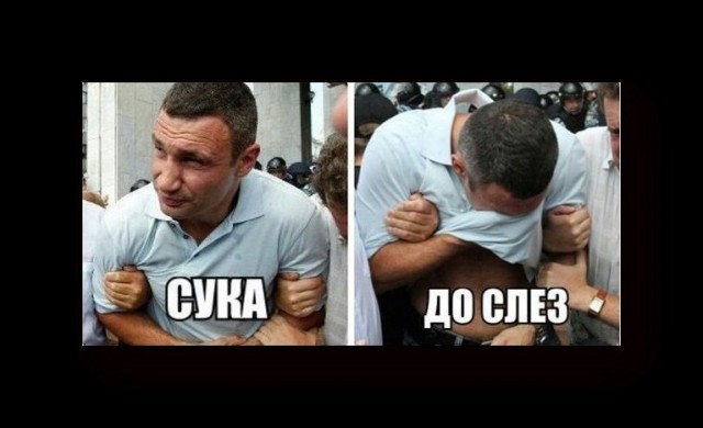 Шойгу в четырех словах описал завершение конфликта на Украине
