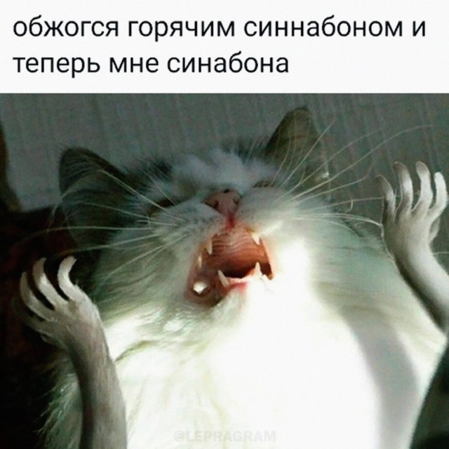 Картинки и мемы, всяко разно - 183